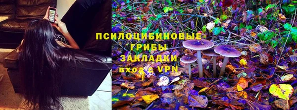 2c-b Аркадак