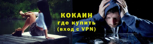 индика Армянск