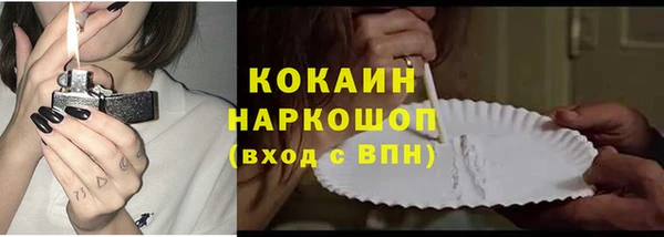 индика Армянск