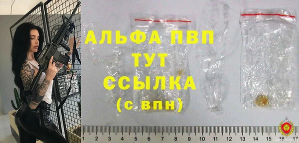 индика Армянск