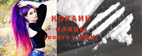 индика Армянск