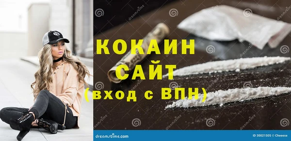 индика Армянск