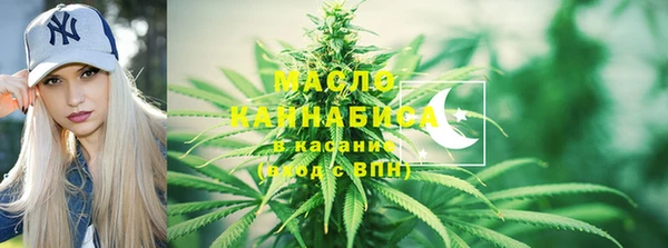 индика Армянск